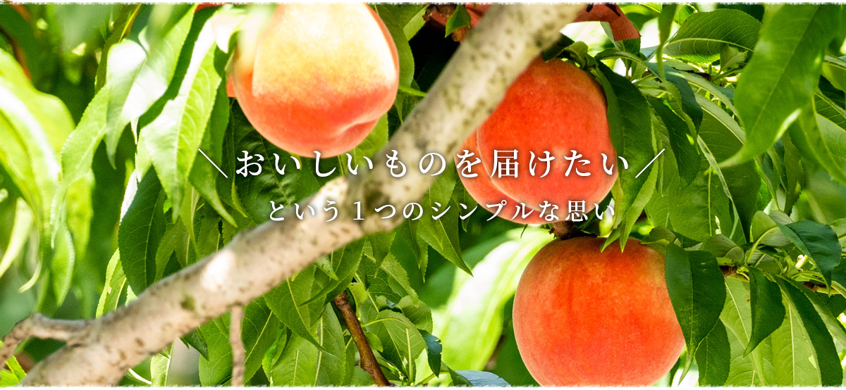 くるまや農園｜山形県産果物・季節のフルーツお取り寄せ